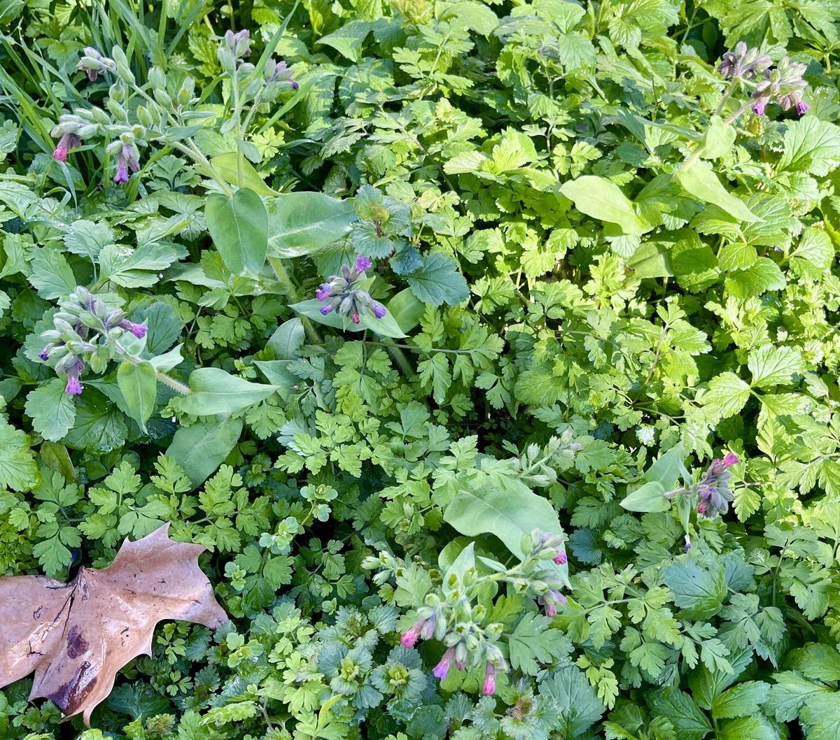 28521F52-7671-4F37-93E3-1344A86CD532