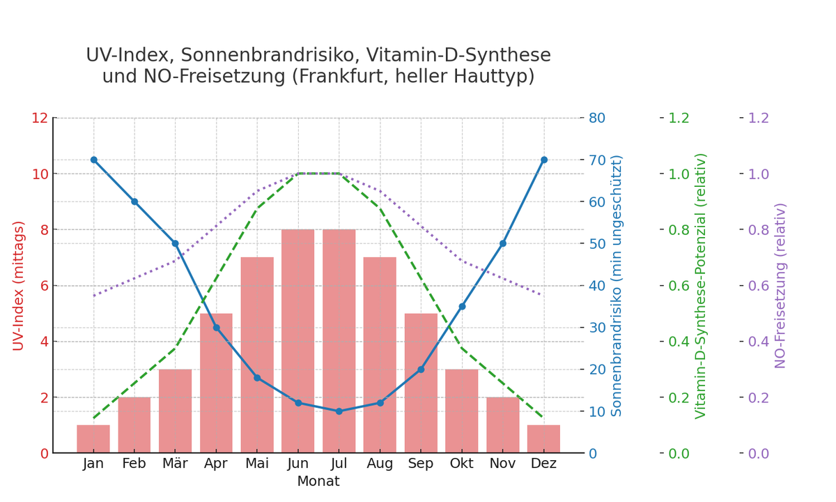 UV Index Sonnenbrandrisiko VitaminD NO F