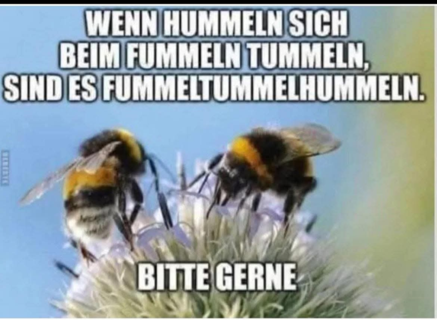 Screenshot 20260315-141159