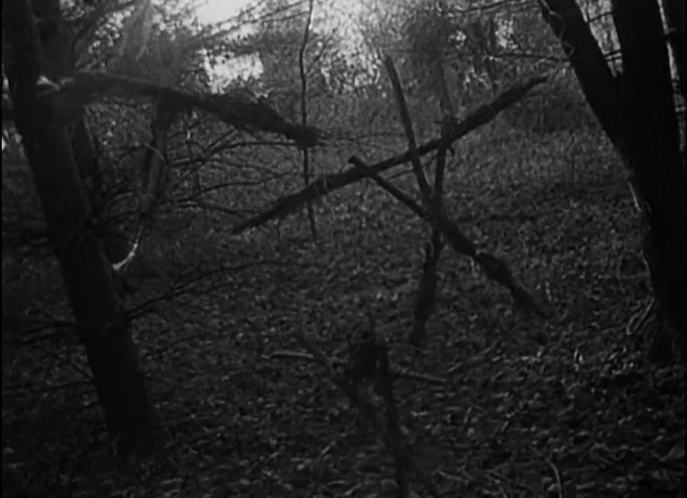 Blair Witch Project 1999 - Copy