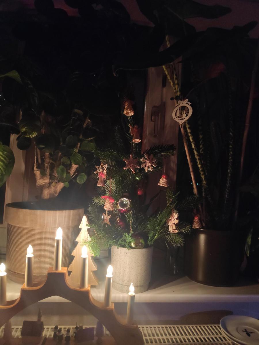 IMG 20231224 212537 1