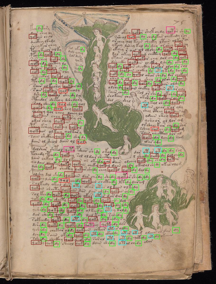 Voynich75r markiert