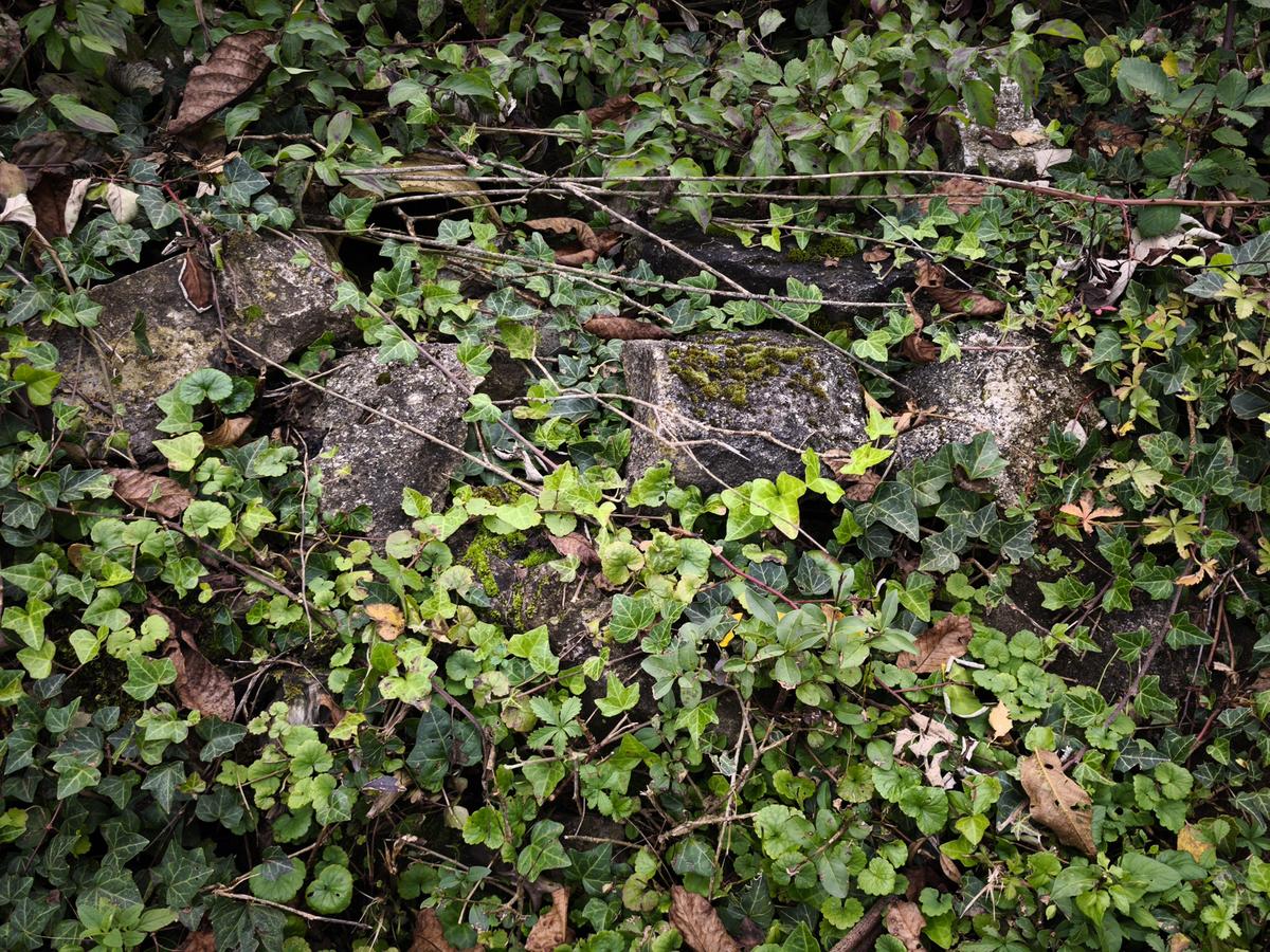 IMG 20250927 175240