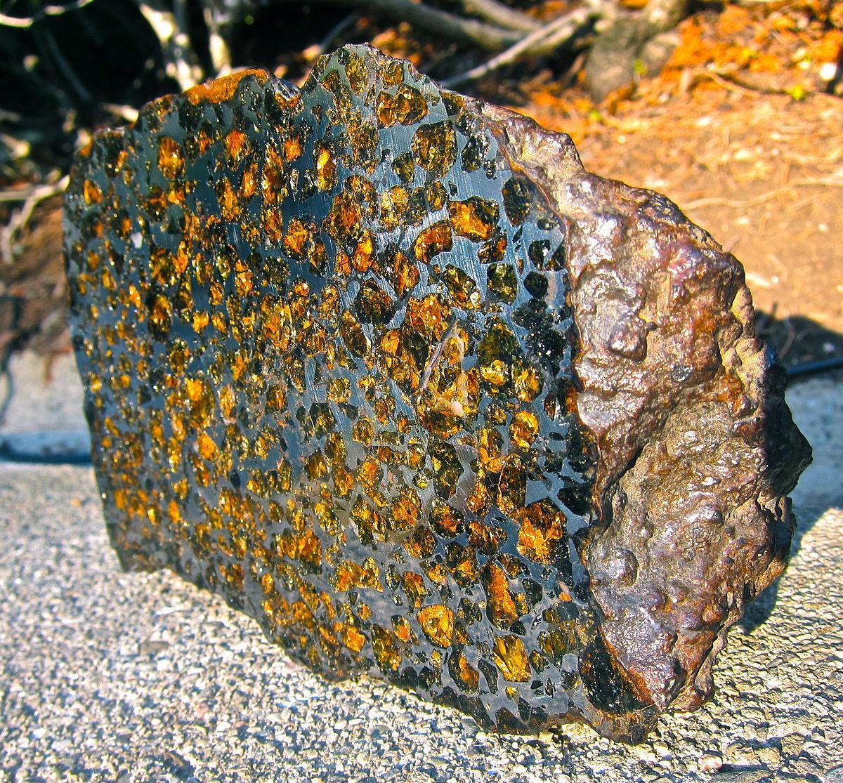 1200px-Brahin pallasite endcut