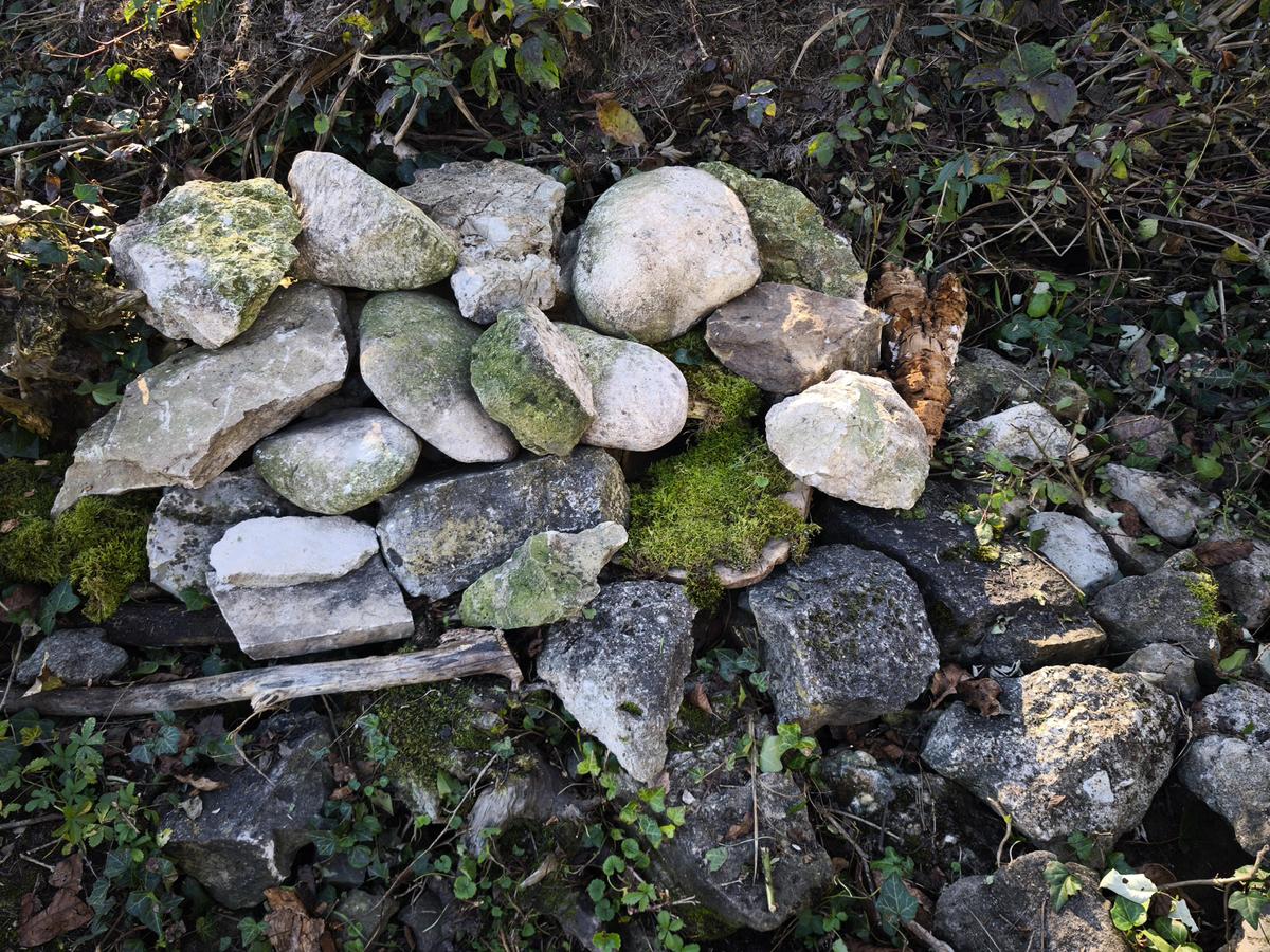 IMG 20251014 160244