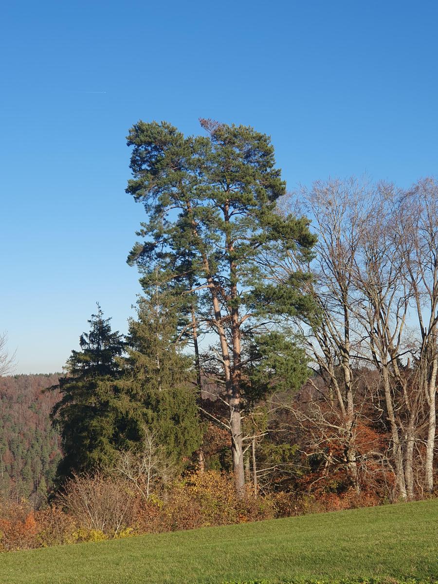 17625248899536094213263184108783