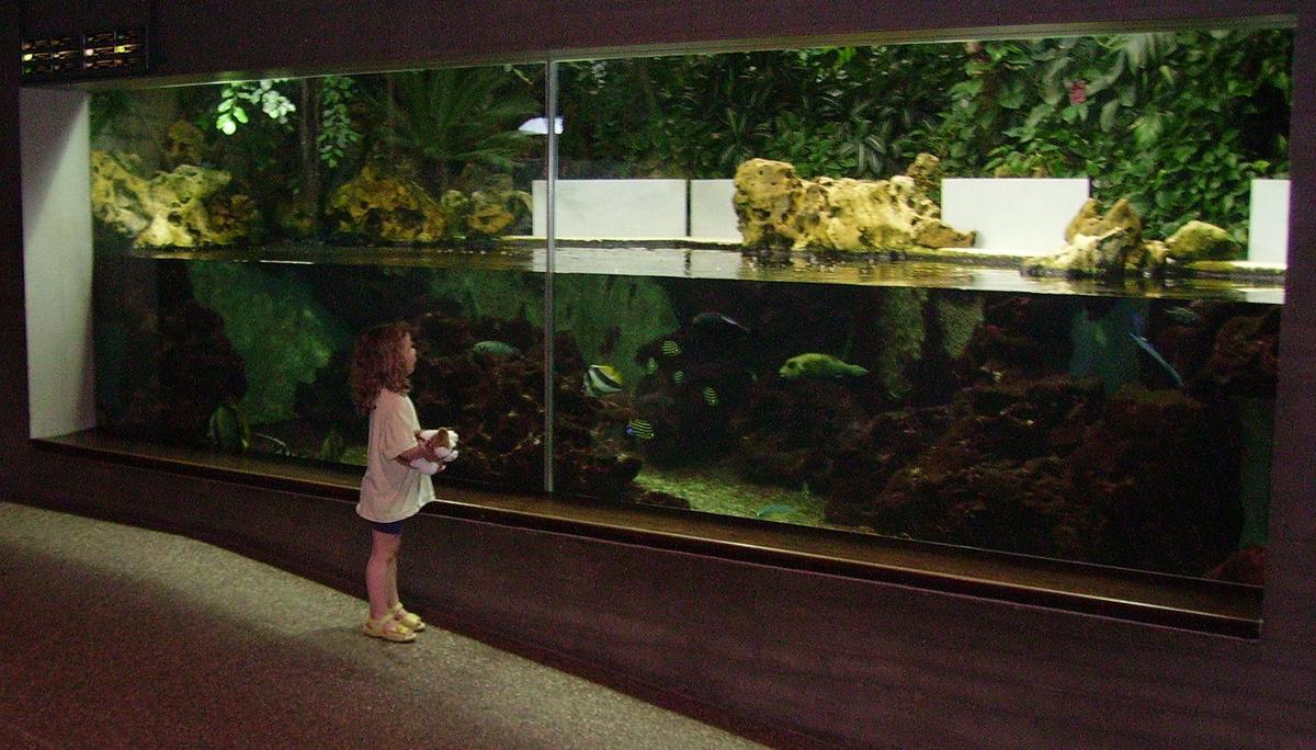 Aquarium in der Wilhelma 1