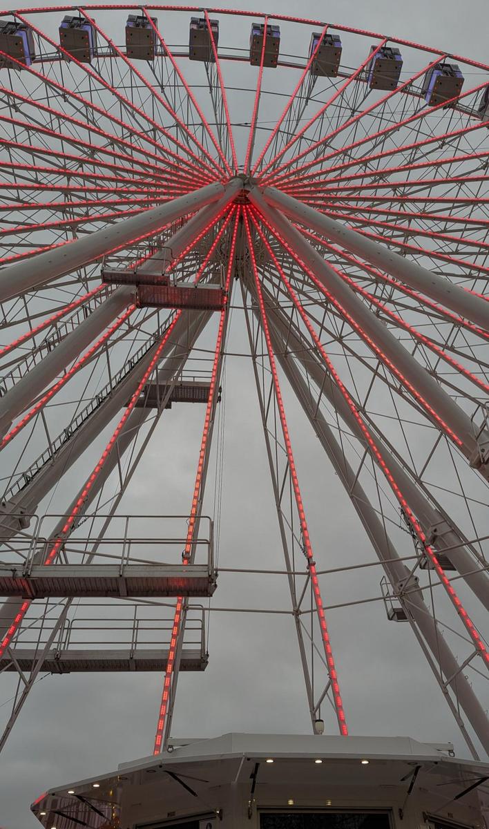 f87afd97-aa2a-435b-ab47-7efddc9777dd cop