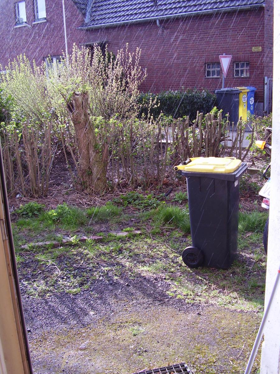 P4040026