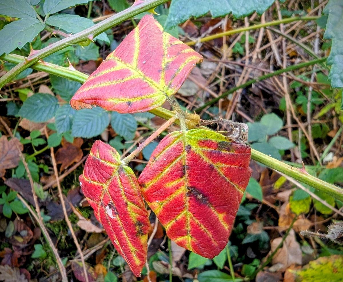 71d4a1f3-36fc-4fbd-bb07-0b74142bb687