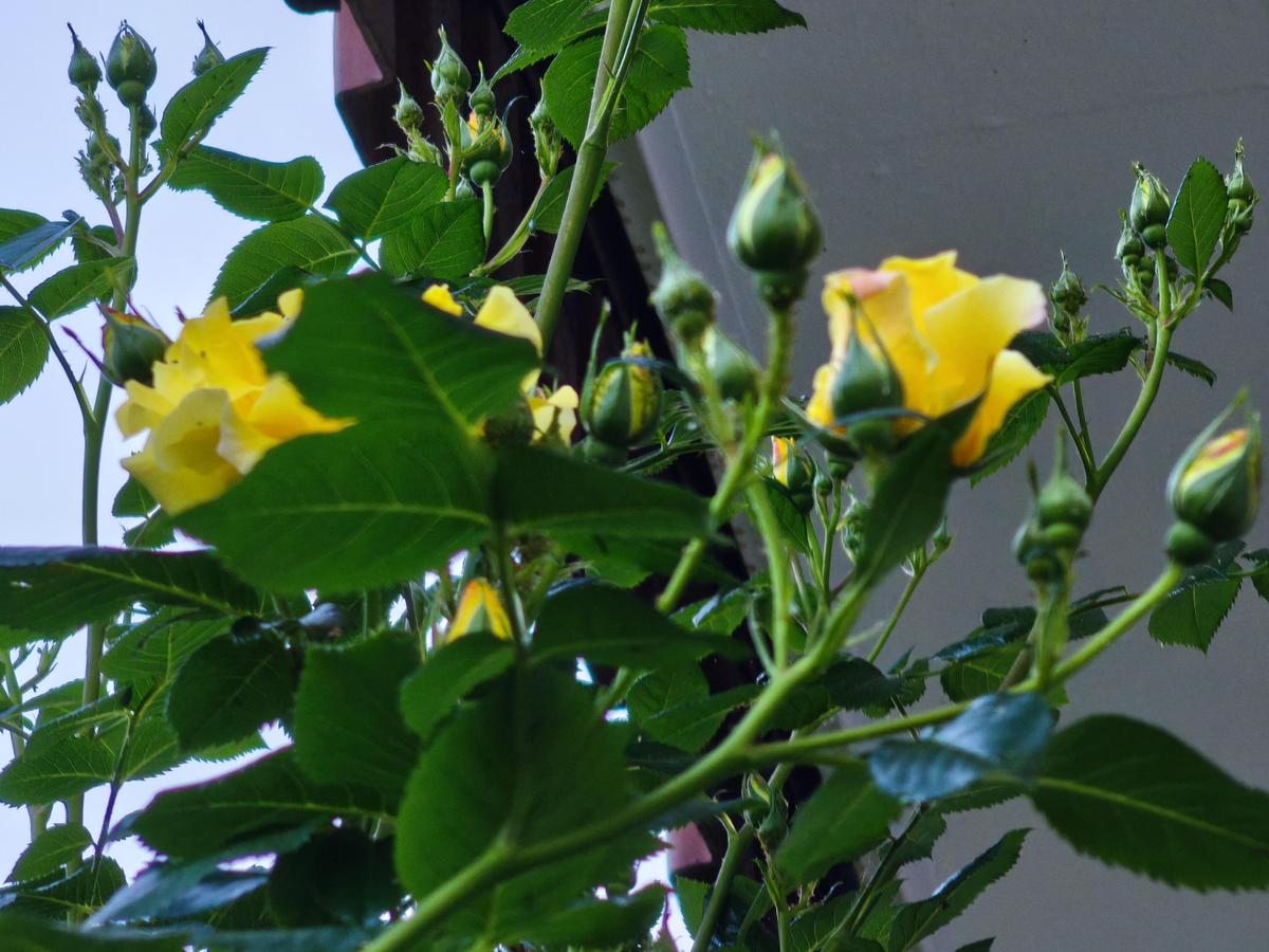 IMG 20250512 195607