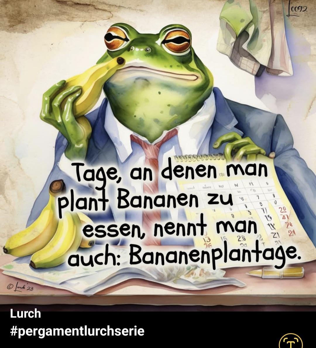 Screenshot 20251025 201958 Gallery