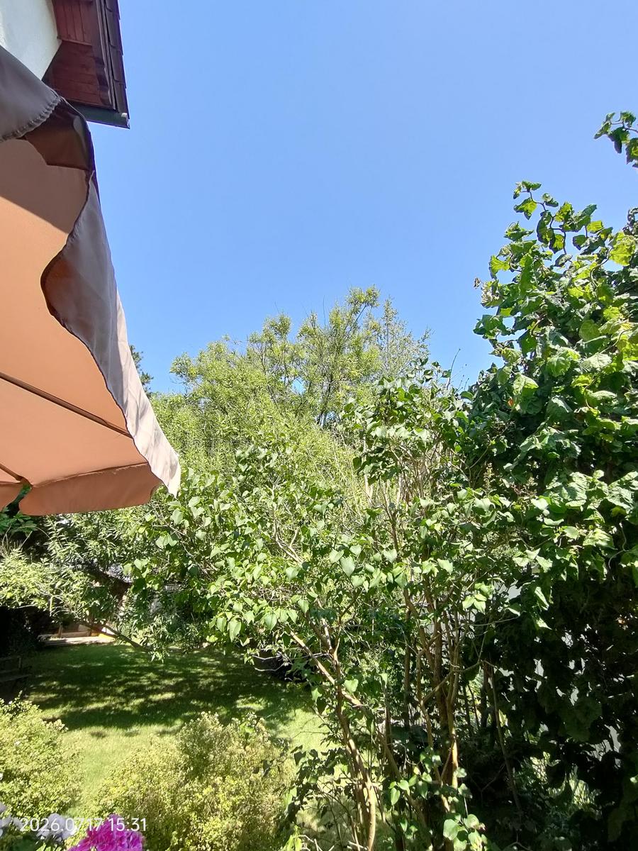 IMG20260717153151