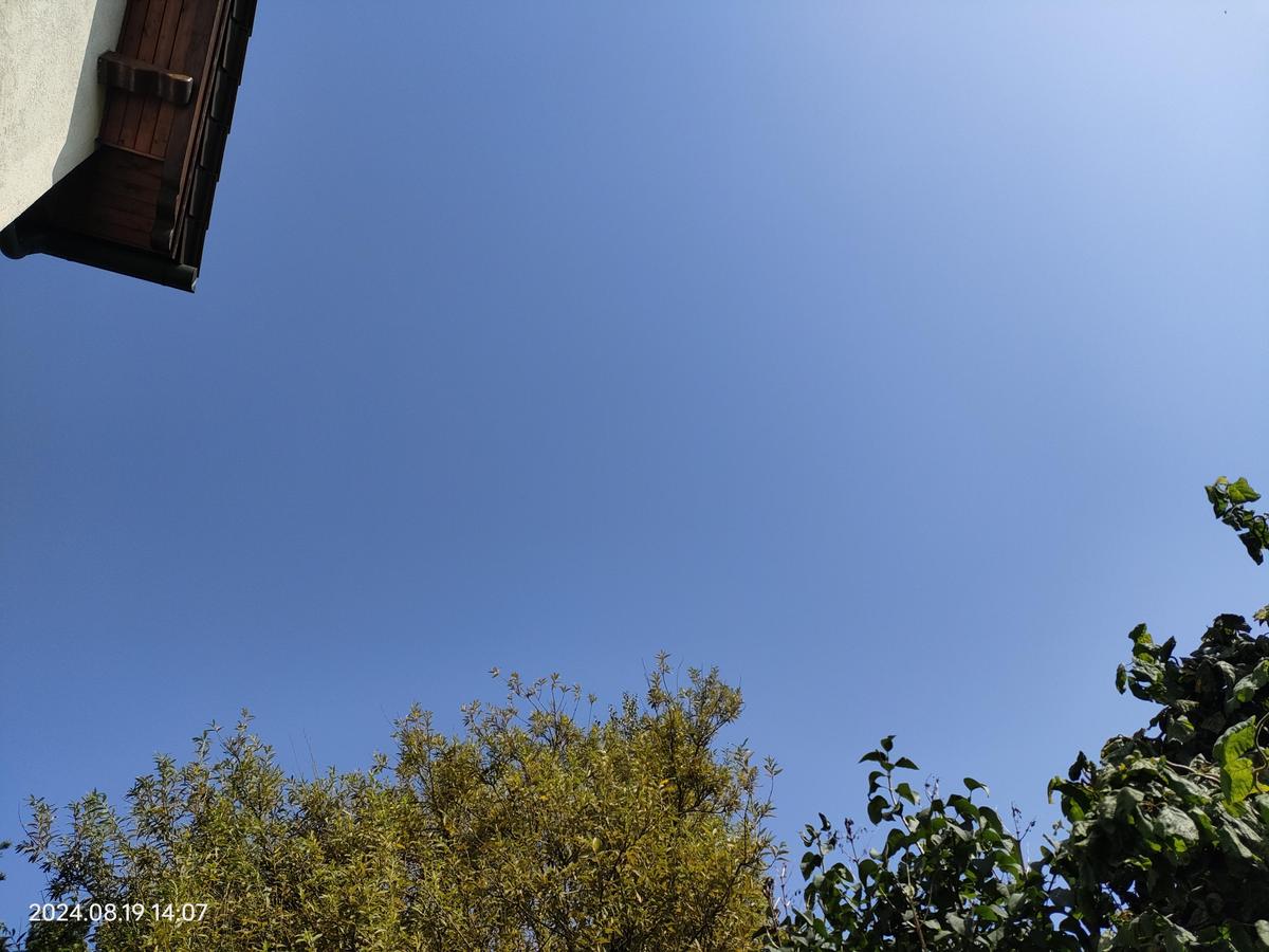 IMG20240819140731