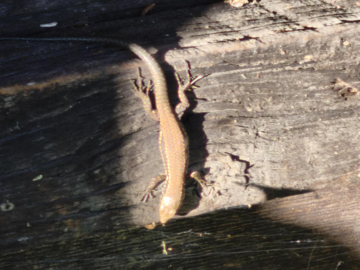 IMG 20251014 163649