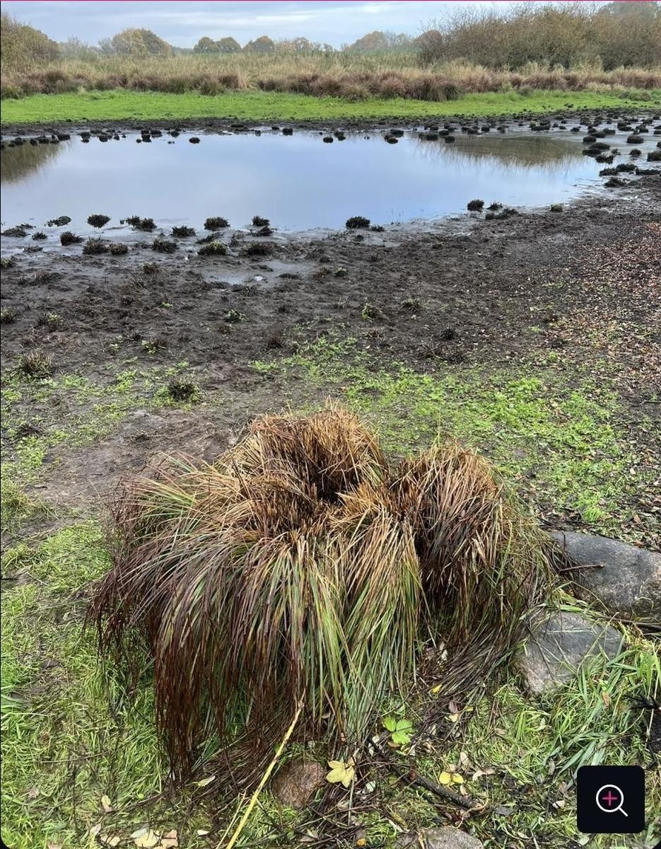 Screenshot 20251105 225432 Chrome