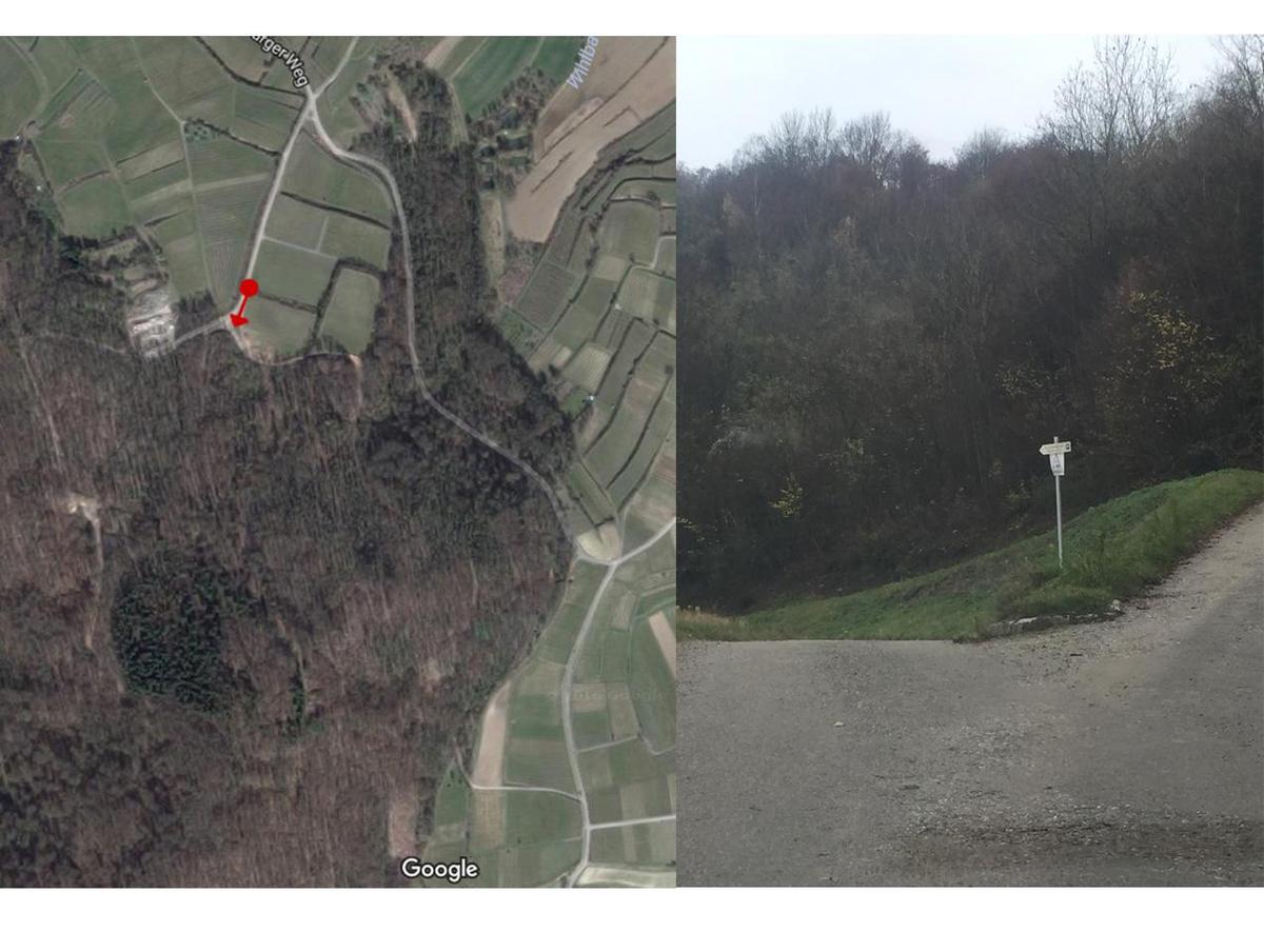 zufahrt Friedwald2