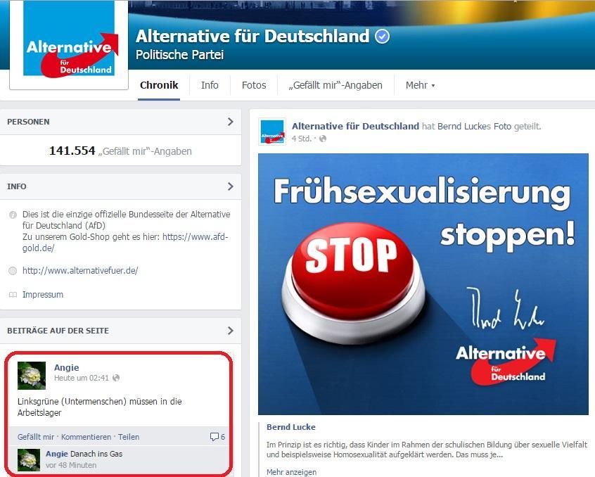 FB Kommentare bei der AfD Angie