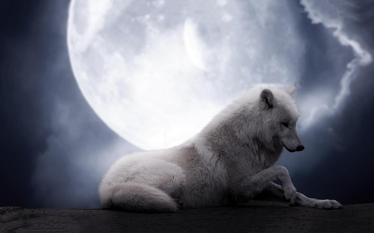 3d-abstract widewallpaper the-wolf-moon 