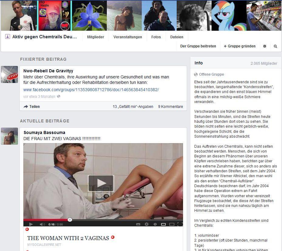 fb chemtrail vaginas