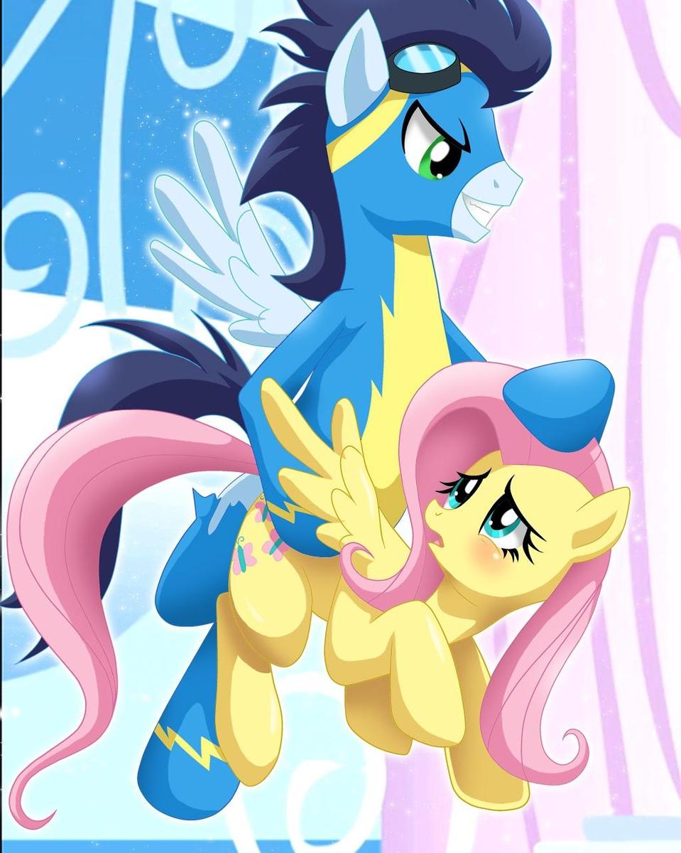 wonderboltflutteshy