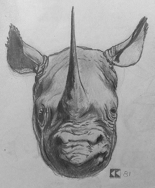  KK Rhino 2104