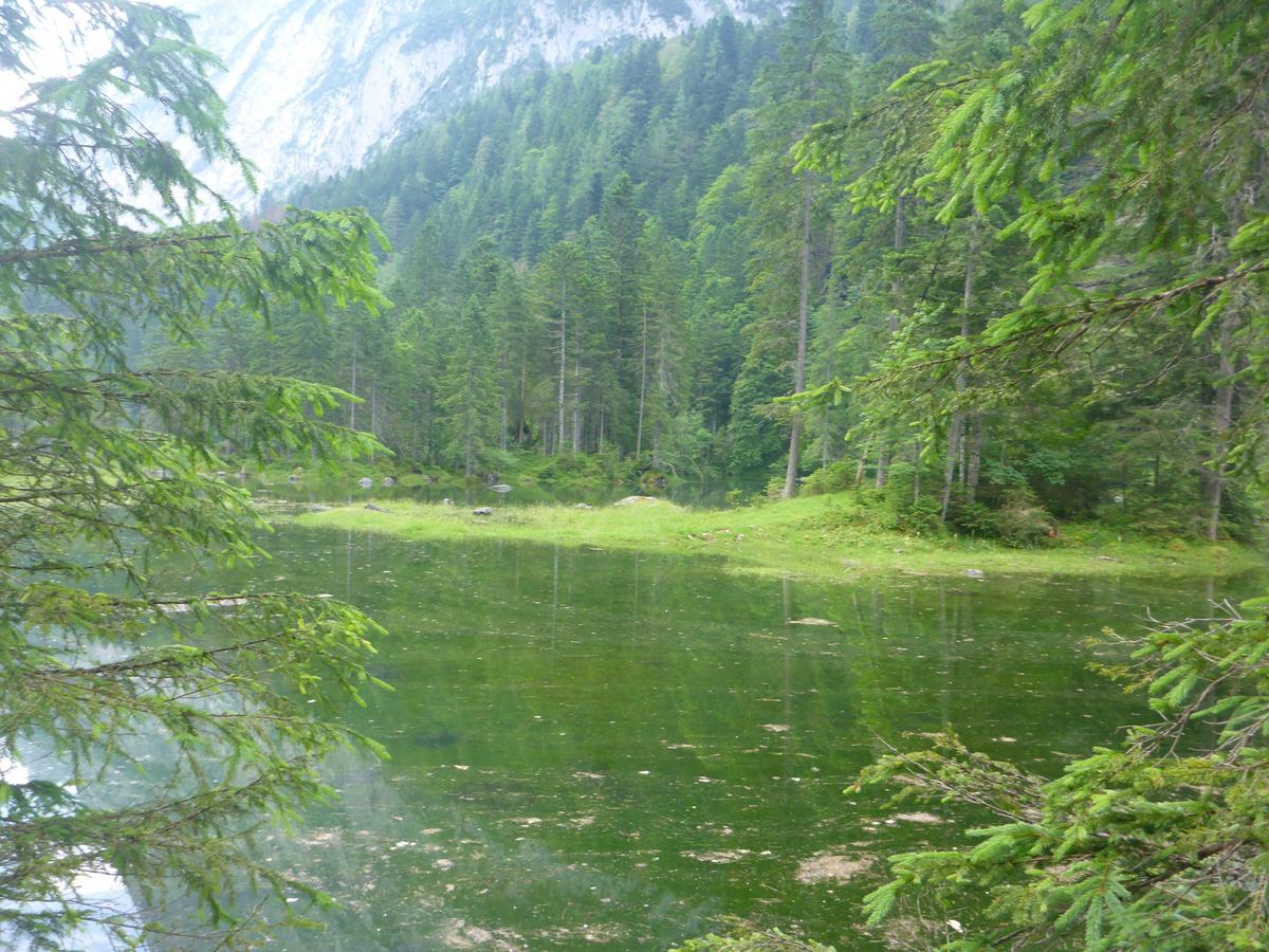 Gosausee 041