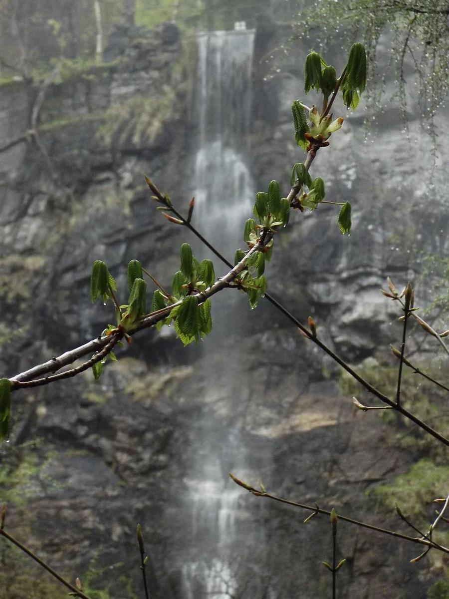 DSCF8320 - Kopie