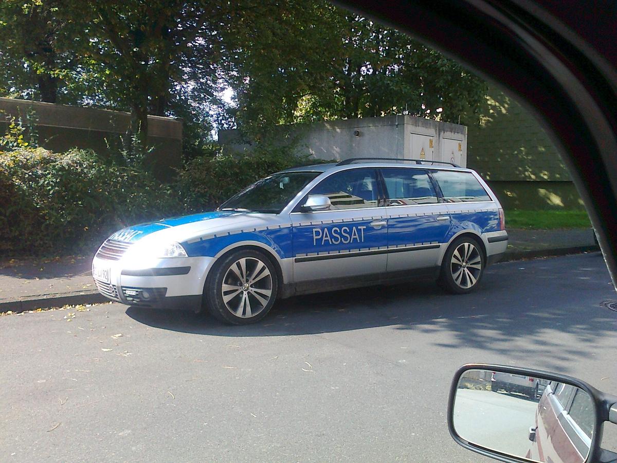817aa6 passat seite