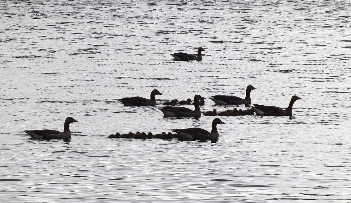 Familienausflug