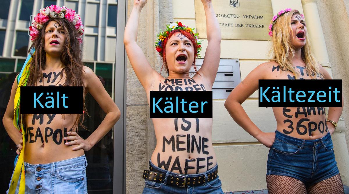 femen-aktivistinnen 0