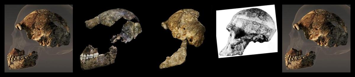 HomoNaledi-01-MrsPles-01