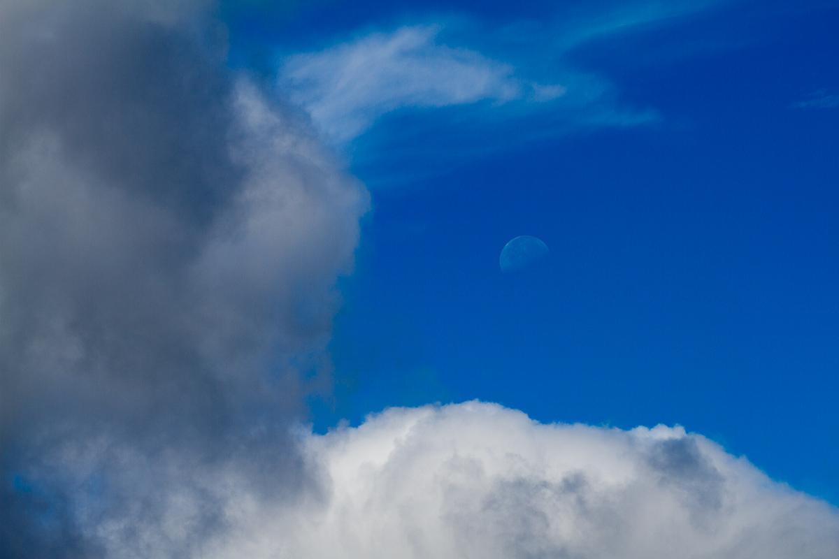 Mond