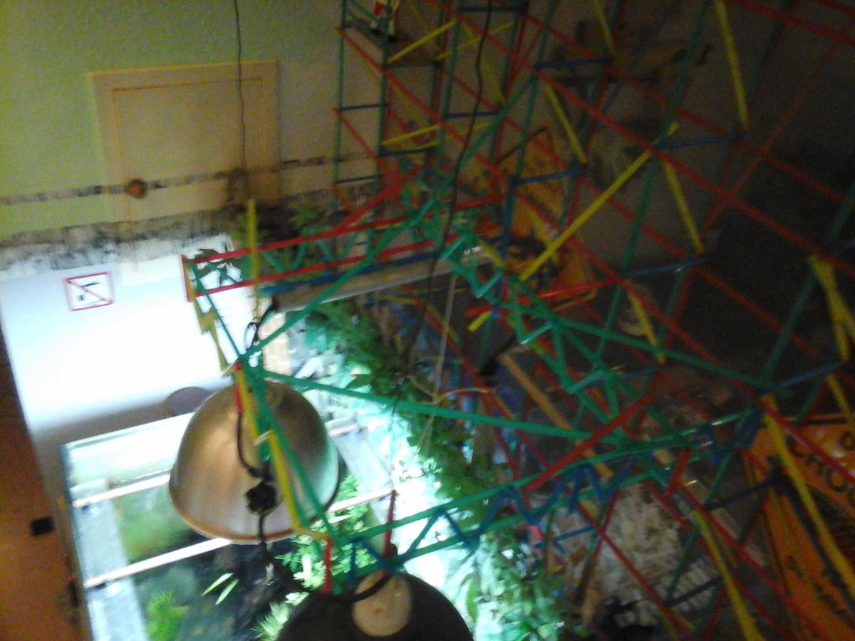 20150314 182819