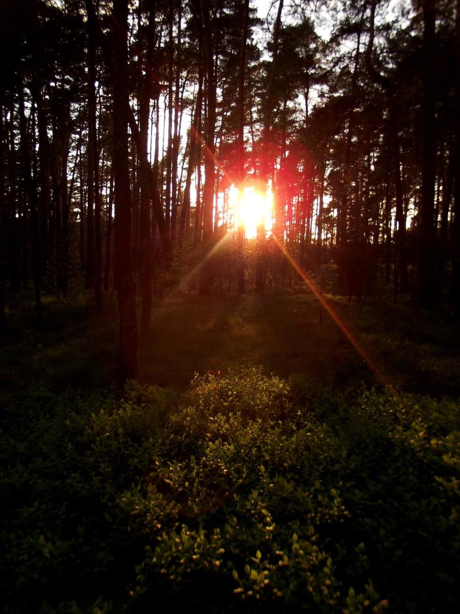 Mal wieder Sonnenuntergang