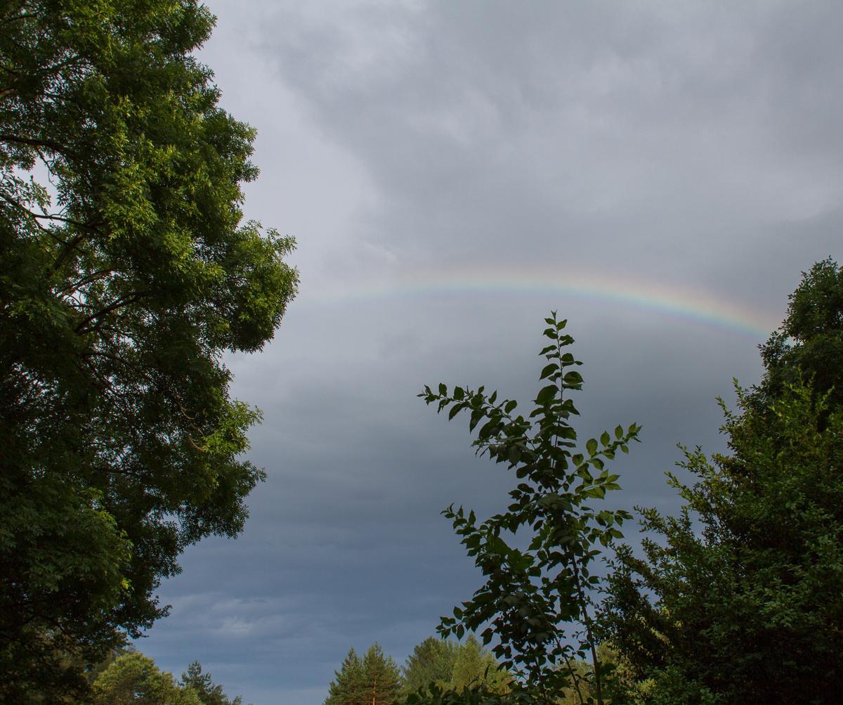 Regenbogen