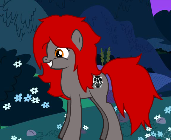 Pony OC 2