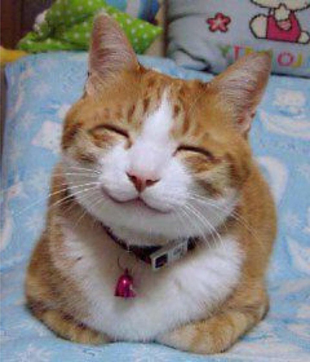 happycat