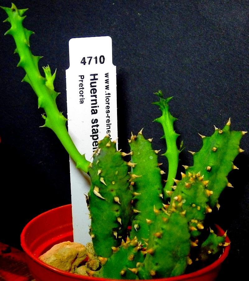  KK 3285