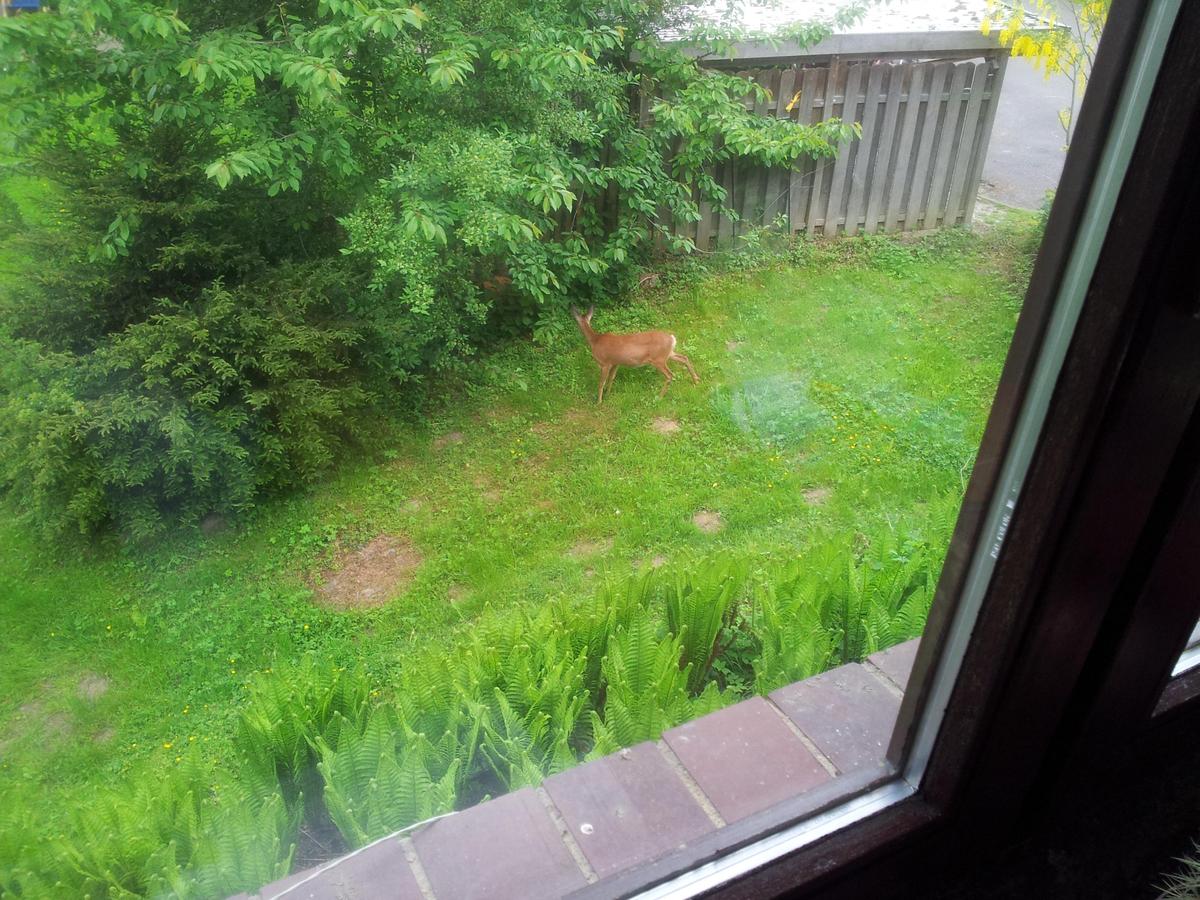 IMG-20150527-WA0000