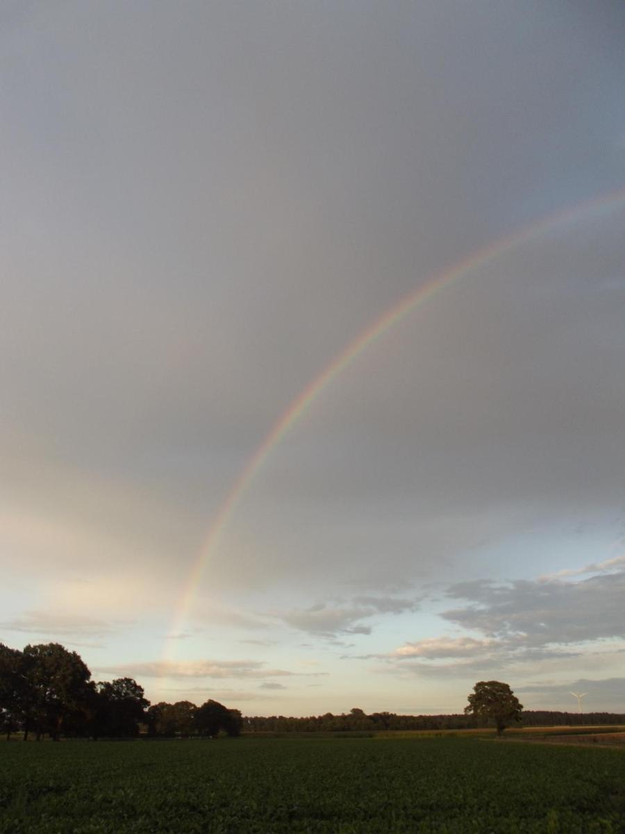 Regenbogen