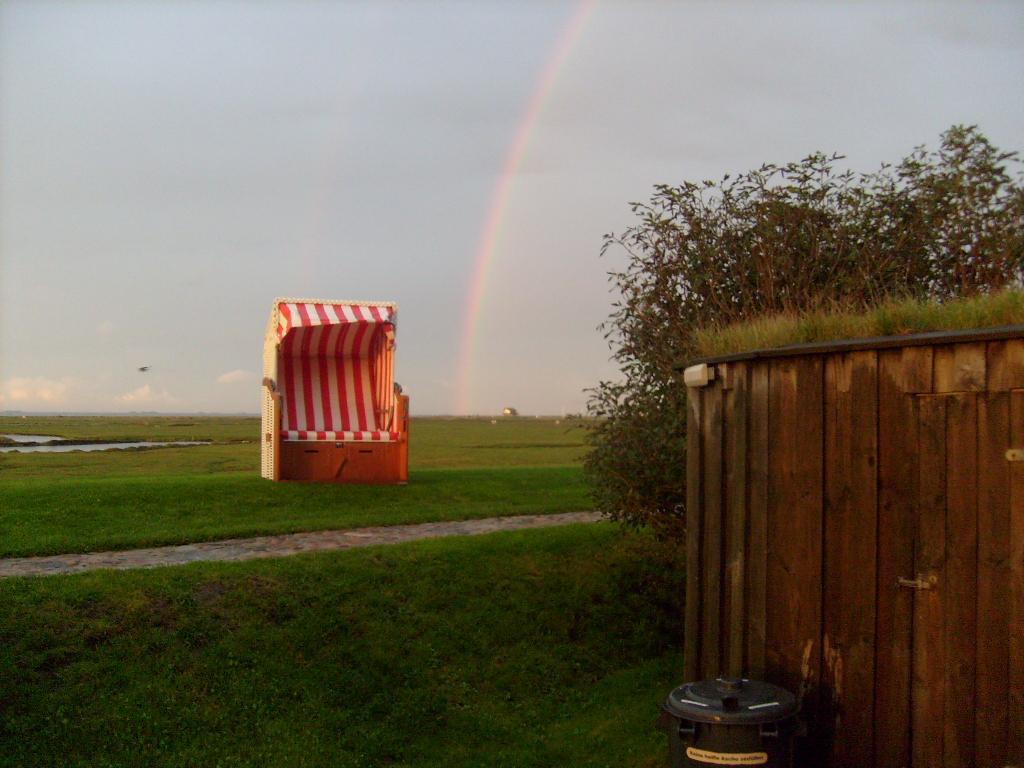 hallig hooge 025