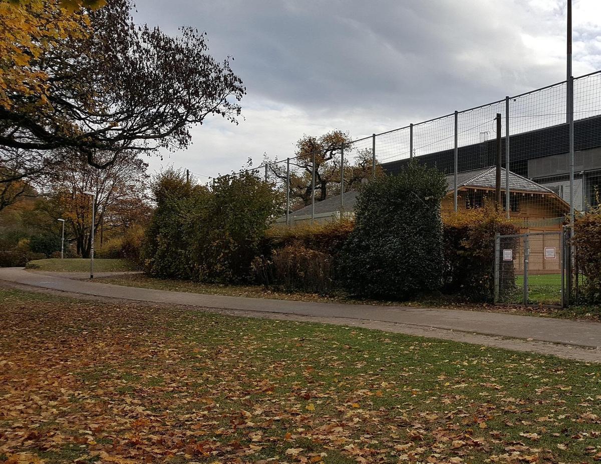 hecke-am-stadion