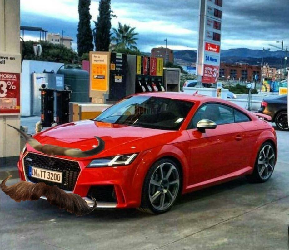 longhorn mustache ttrs