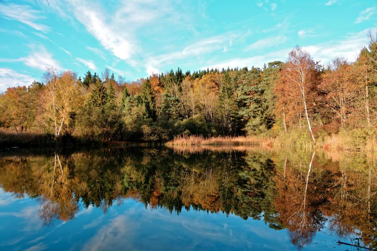 spiegelweiher 20141102 1902 1280dx10 2