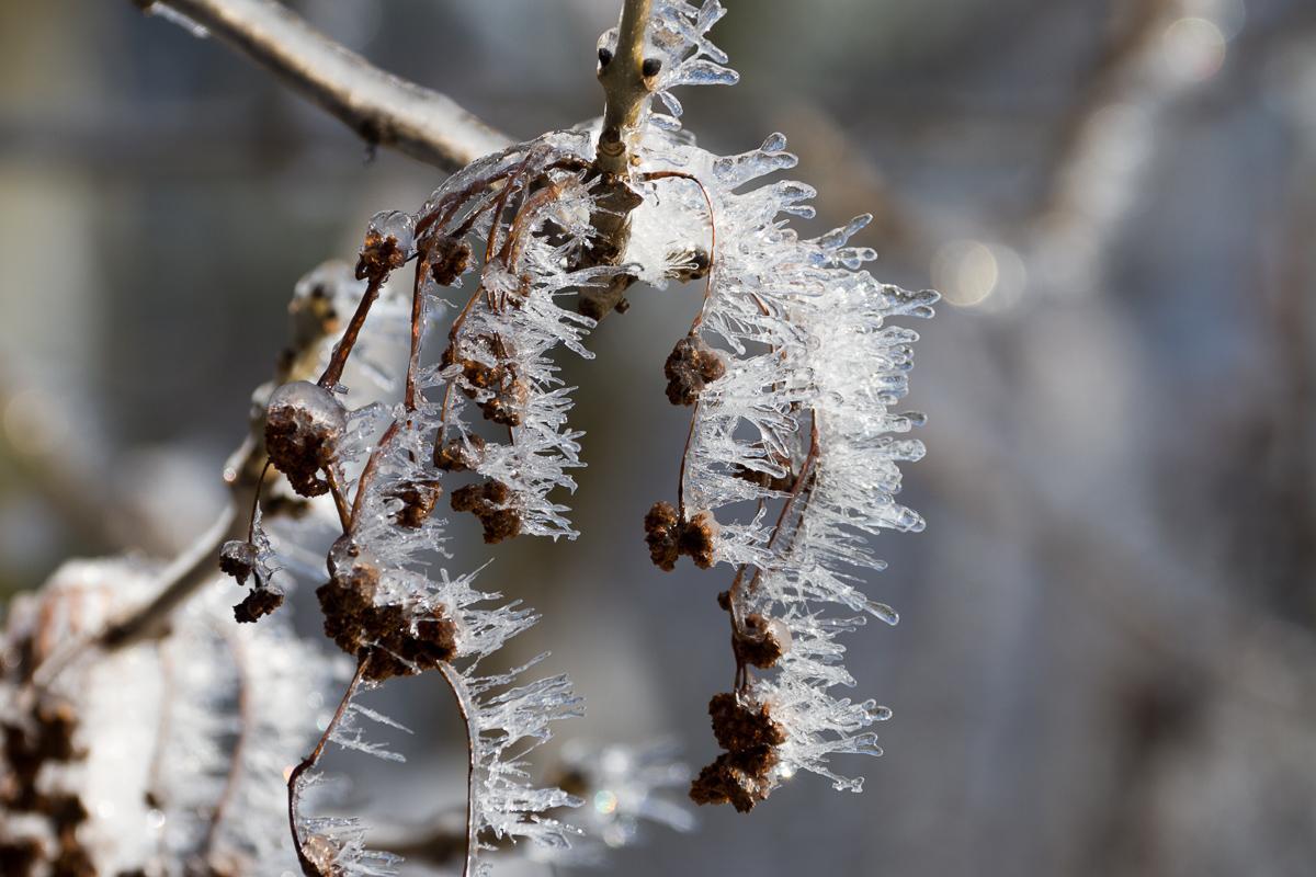 Eisregen2