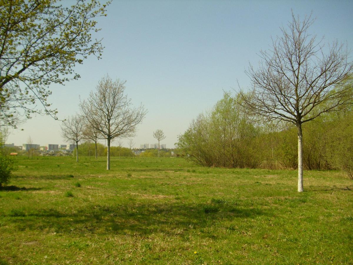 DSCI0496