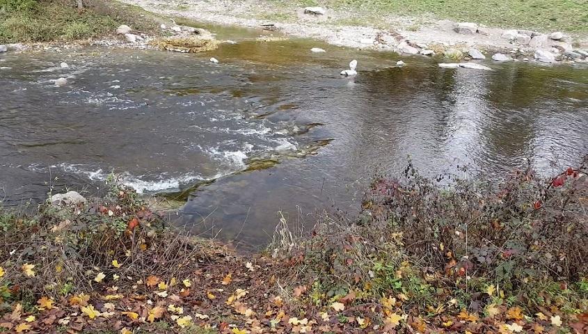 gebuesch-und-mutmasslicher-leichenfundor