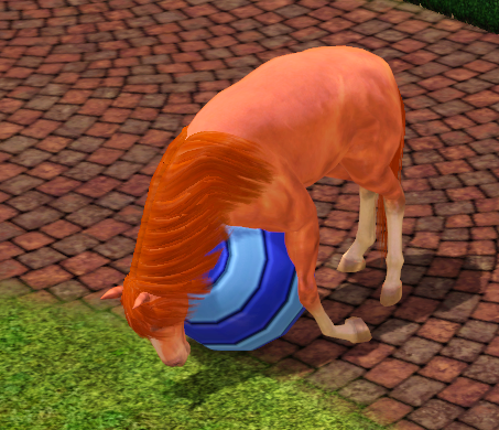 fsdfgsdg