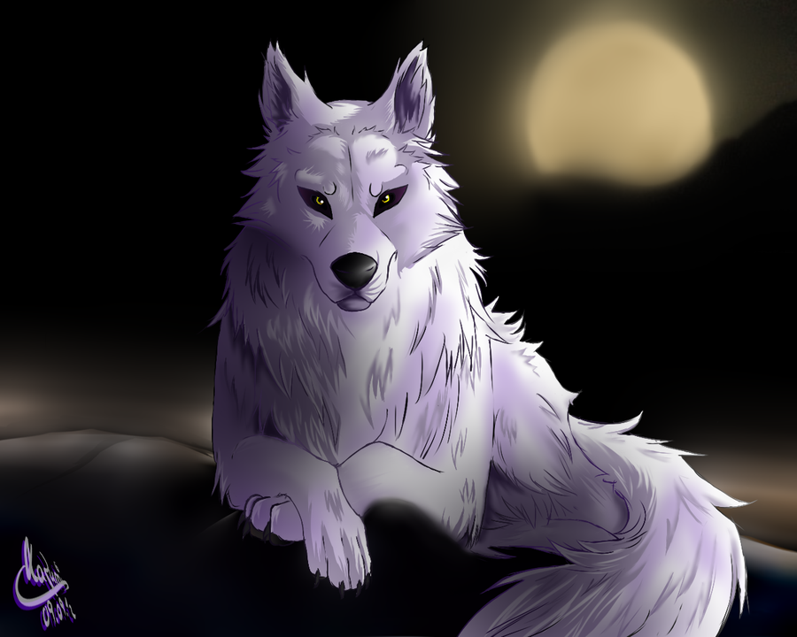 white wolf by kazuminomegami-d5e9vgp